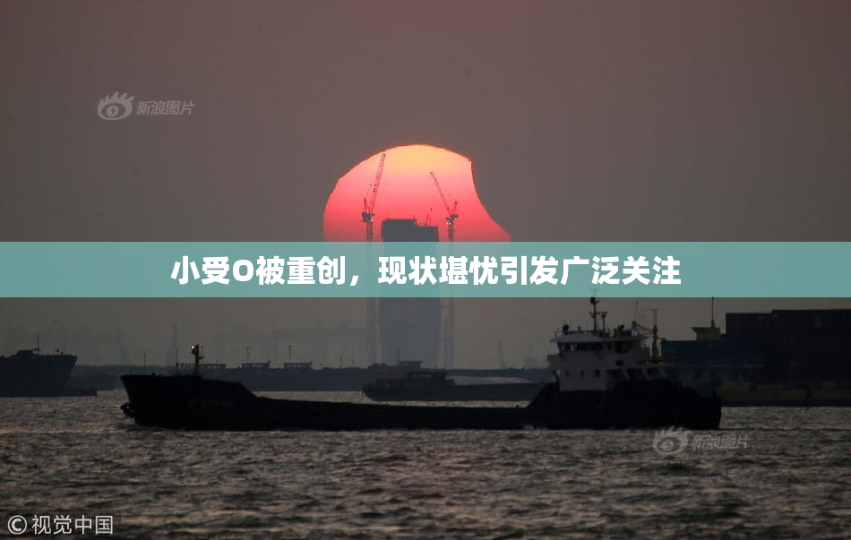 小受O被重创，现状堪忧引发广泛关注