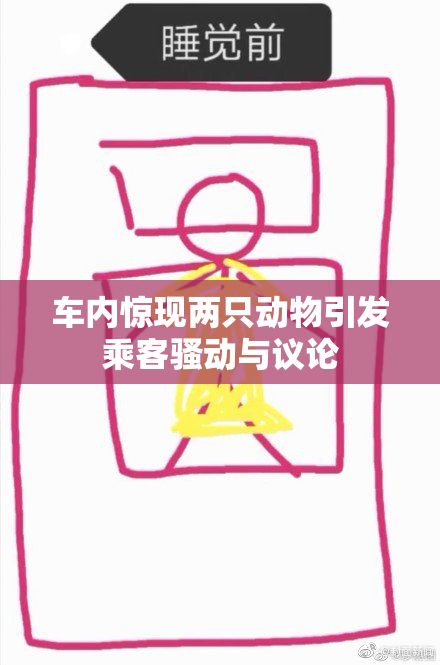 车内惊现两只动物引发乘客骚动与议论
