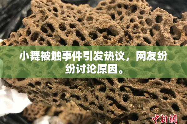 小舞被触事件引发热议，网友纷纷讨论原因。