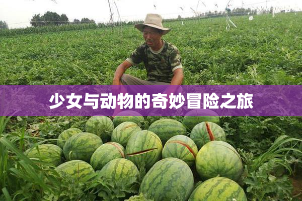 少女与动物的奇妙冒险之旅