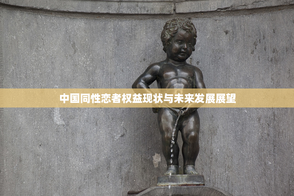 中国同性恋者权益现状与未来发展展望