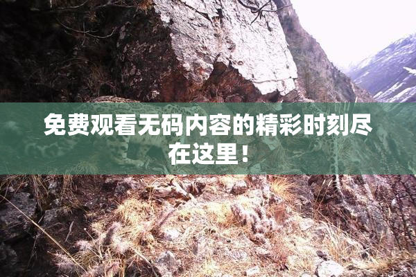 免费观看无码内容的精彩时刻尽在这里！