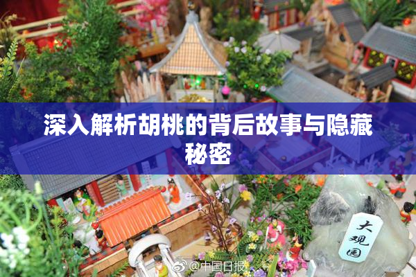 深入解析胡桃的背后故事与隐藏秘密