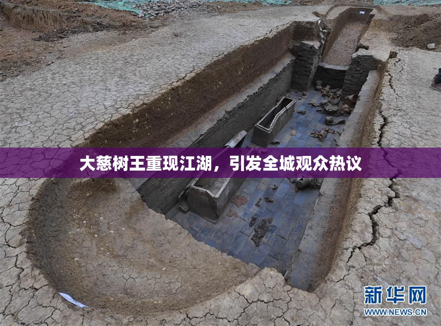 大慈树王重现江湖，引发全城观众热议