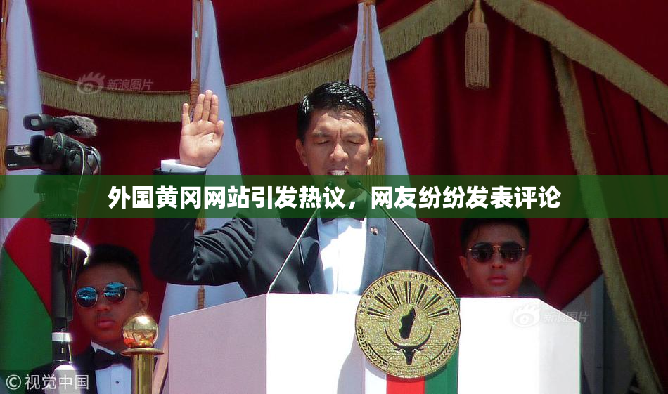 外国黄冈网站引发热议，网友纷纷发表评论