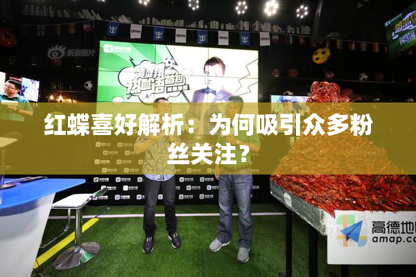 红蝶喜好解析：为何吸引众多粉丝关注？