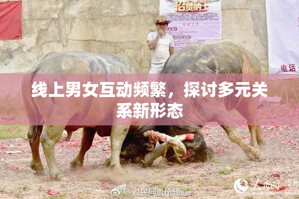 线上男女互动频繁，探讨多元关系新形态