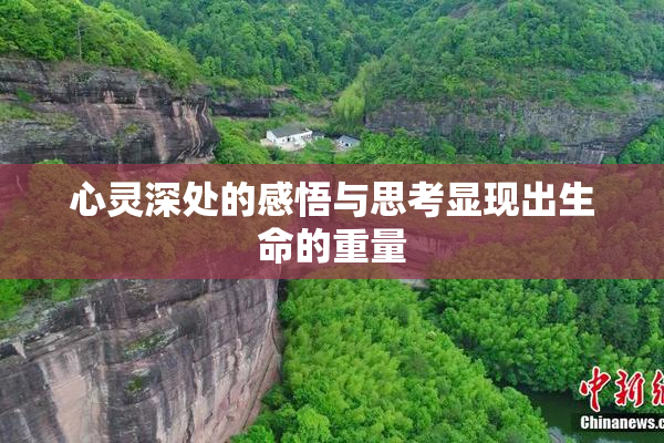 心灵深处的感悟与思考显现出生命的重量