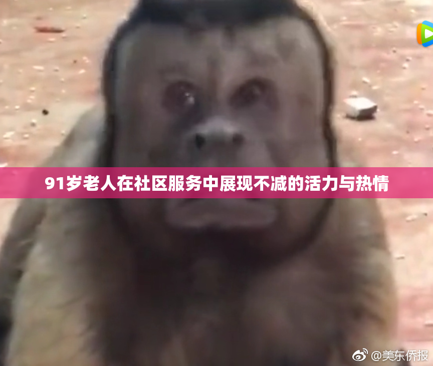 91岁老人在社区服务中展现不减的活力与热情