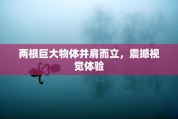 两根巨大物体并肩而立，震撼视觉体验