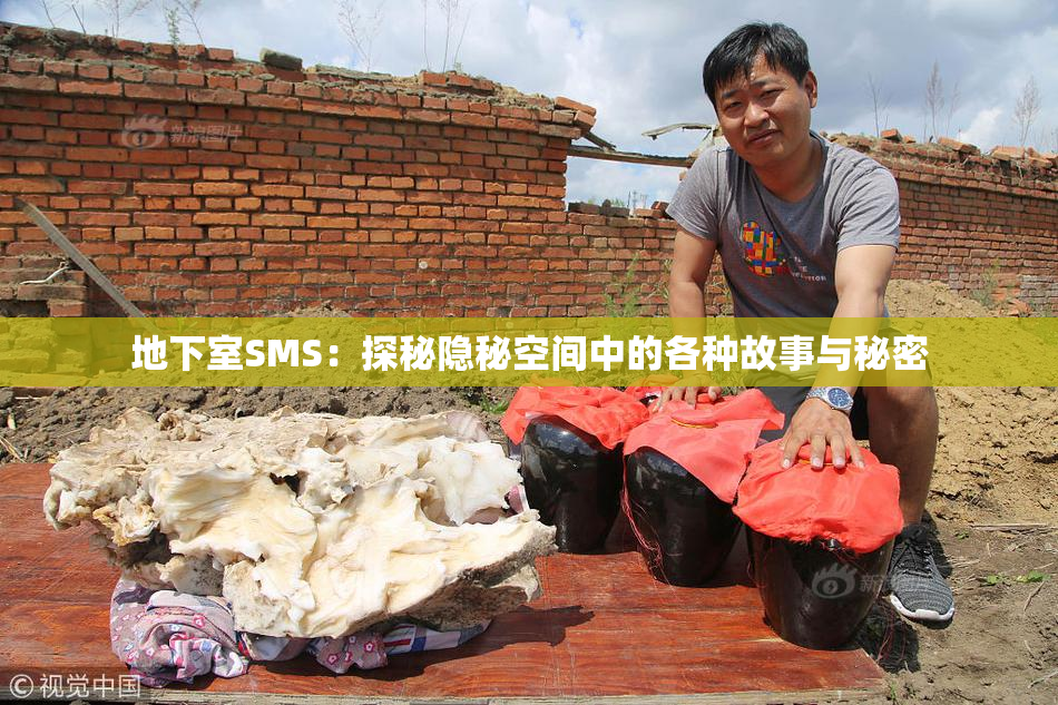地下室SMS：探秘隐秘空间中的各种故事与秘密