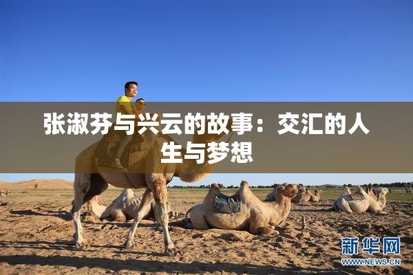 张淑芬与兴云的故事：交汇的人生与梦想