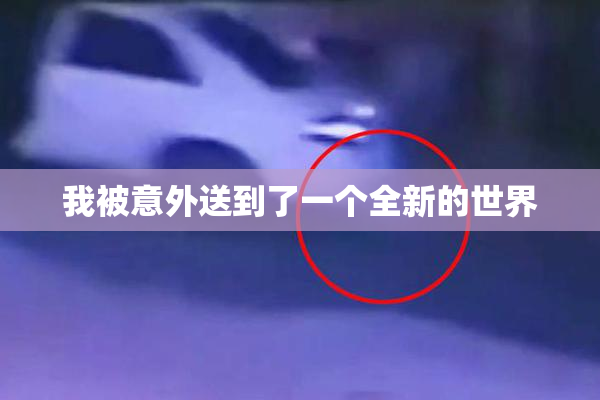 我被意外送到了一个全新的世界
