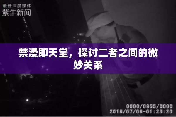 禁漫即天堂，探讨二者之间的微妙关系