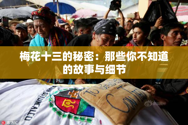 梅花十三的秘密：那些你不知道的故事与细节