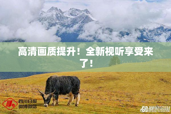 高清画质提升！全新视听享受来了！