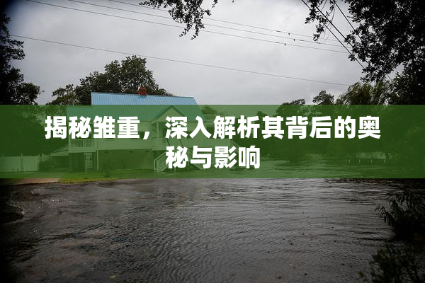 揭秘雏重，深入解析其背后的奥秘与影响