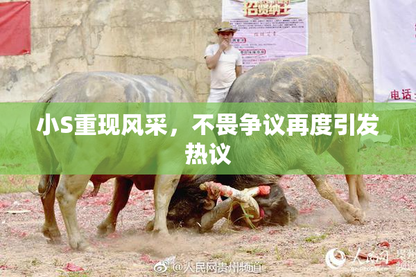 小S重现风采，不畏争议再度引发热议