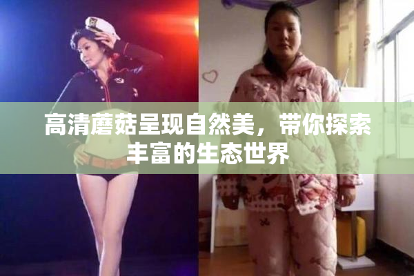 高清蘑菇呈现自然美，带你探索丰富的生态世界