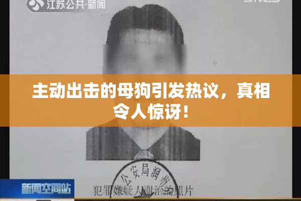主动出击的母狗引发热议，真相令人惊讶！