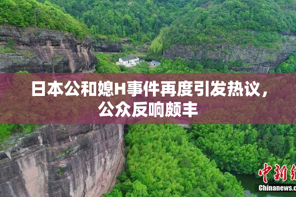 日本公和媳H事件再度引发热议，公众反响颇丰