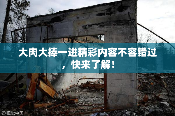 大肉大捧一进精彩内容不容错过，快来了解！