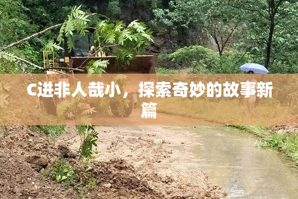 C进非人哉小，探索奇妙的故事新篇
