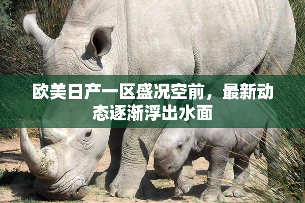 欧美日产一区盛况空前，最新动态逐渐浮出水面
