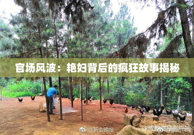 官场风波：艳妇背后的疯狂故事揭秘