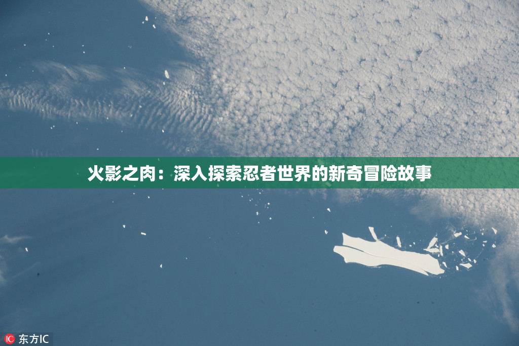 火影之肉：深入探索忍者世界的新奇冒险故事