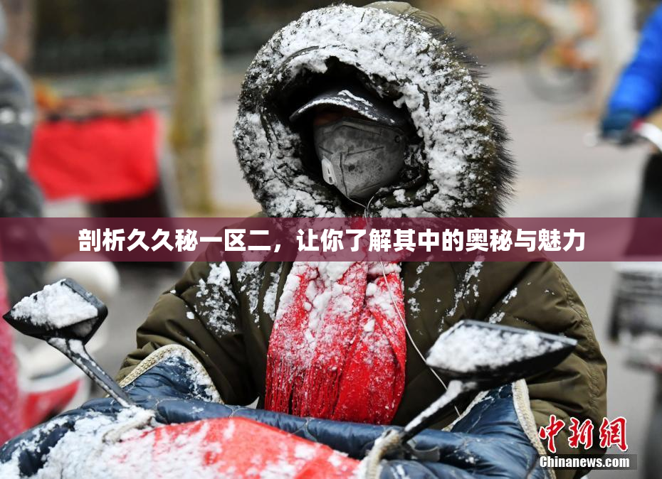 剖析久久秘一区二，让你了解其中的奥秘与魅力