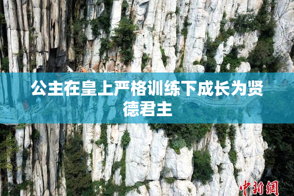 公主在皇上严格训练下成长为贤德君主