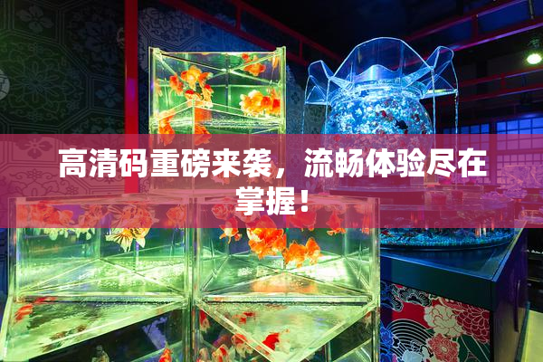 高清码重磅来袭，流畅体验尽在掌握！
