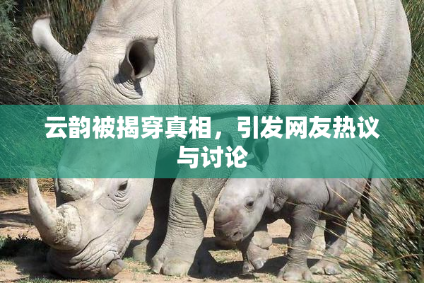 云韵被揭穿真相，引发网友热议与讨论