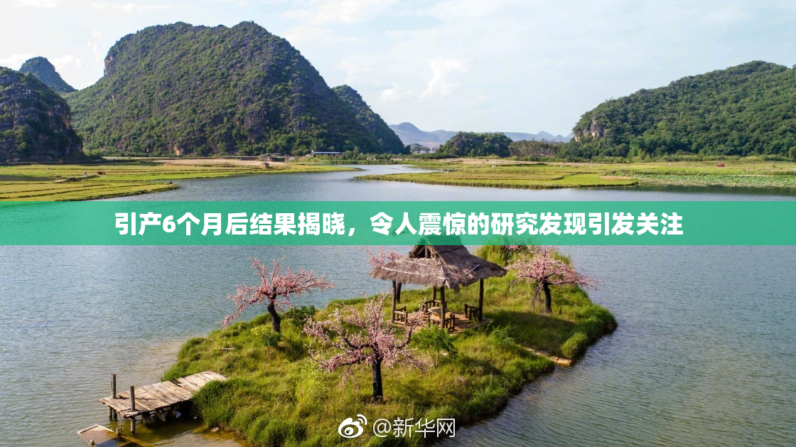 引产6个月后结果揭晓，令人震惊的研究发现引发关注