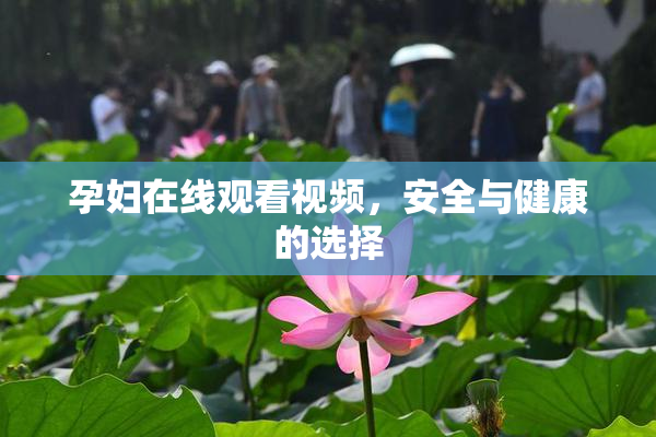 孕妇在线观看视频，安全与健康的选择