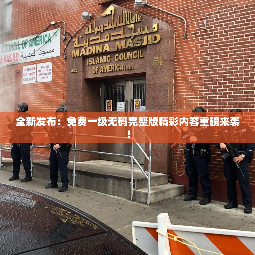 全新发布：免费一级无码完整版精彩内容重磅来袭！