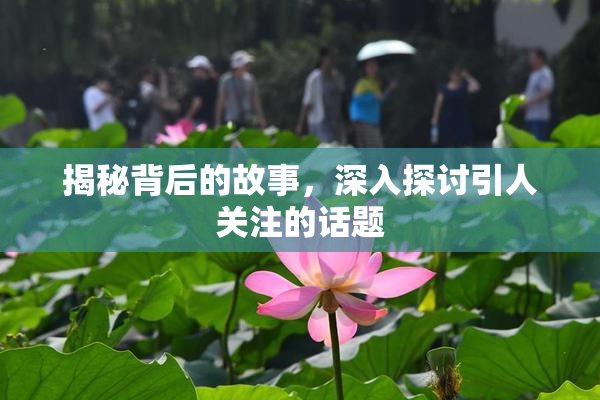 揭秘背后的故事，深入探讨引人关注的话题