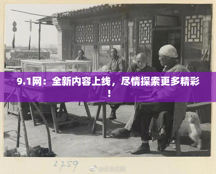 9.1网：全新内容上线，尽情探索更多精彩！