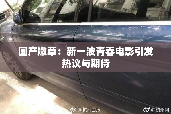 国产嫩草：新一波青春电影引发热议与期待