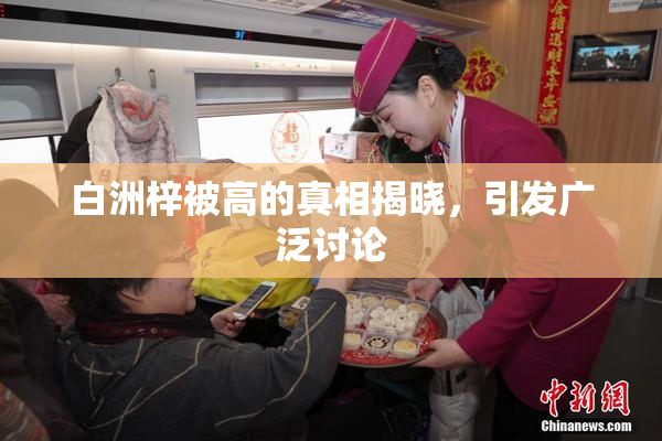 白洲梓被高的真相揭晓，引发广泛讨论