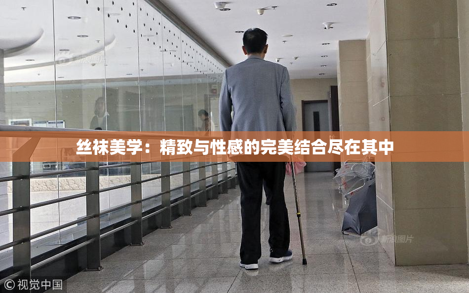 丝袜美学：精致与性感的完美结合尽在其中