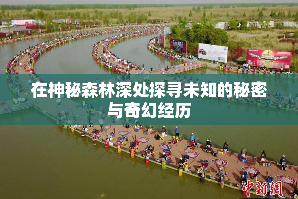 在神秘森林深处探寻未知的秘密与奇幻经历