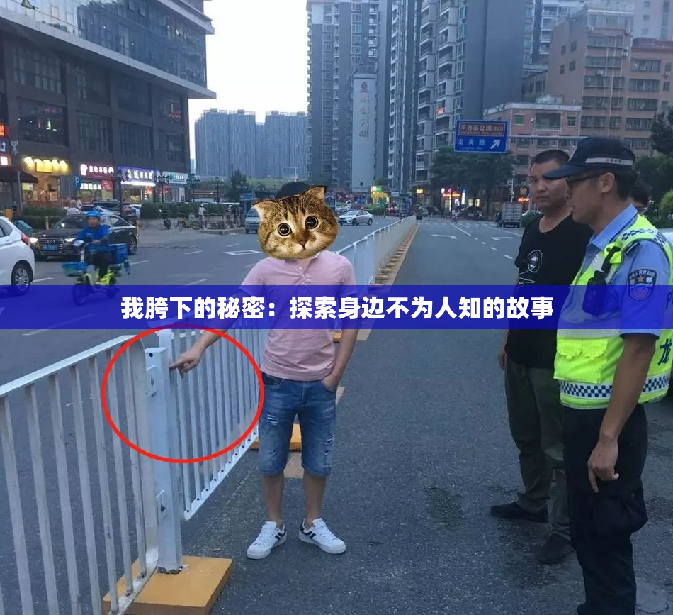 我胯下的秘密：探索身边不为人知的故事