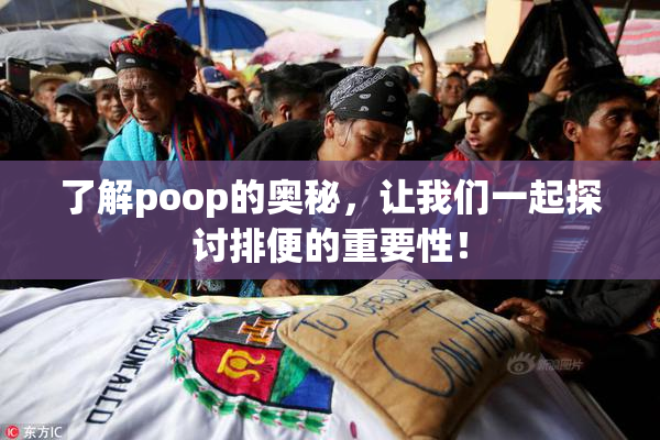 了解poop的奥秘，让我们一起探讨排便的重要性！