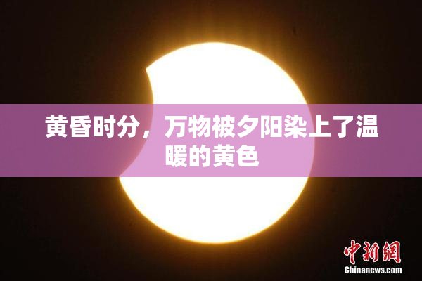 黄昏时分，万物被夕阳染上了温暖的黄色