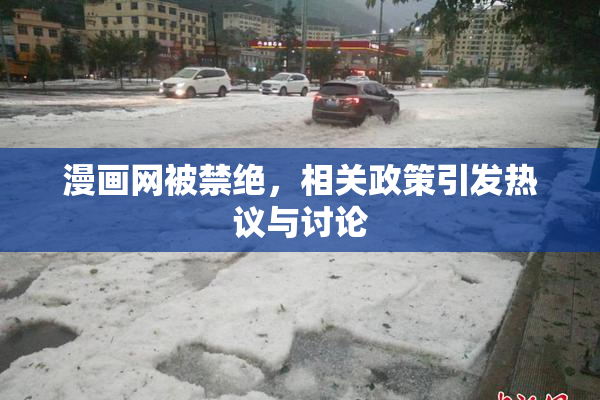 漫画网被禁绝，相关政策引发热议与讨论