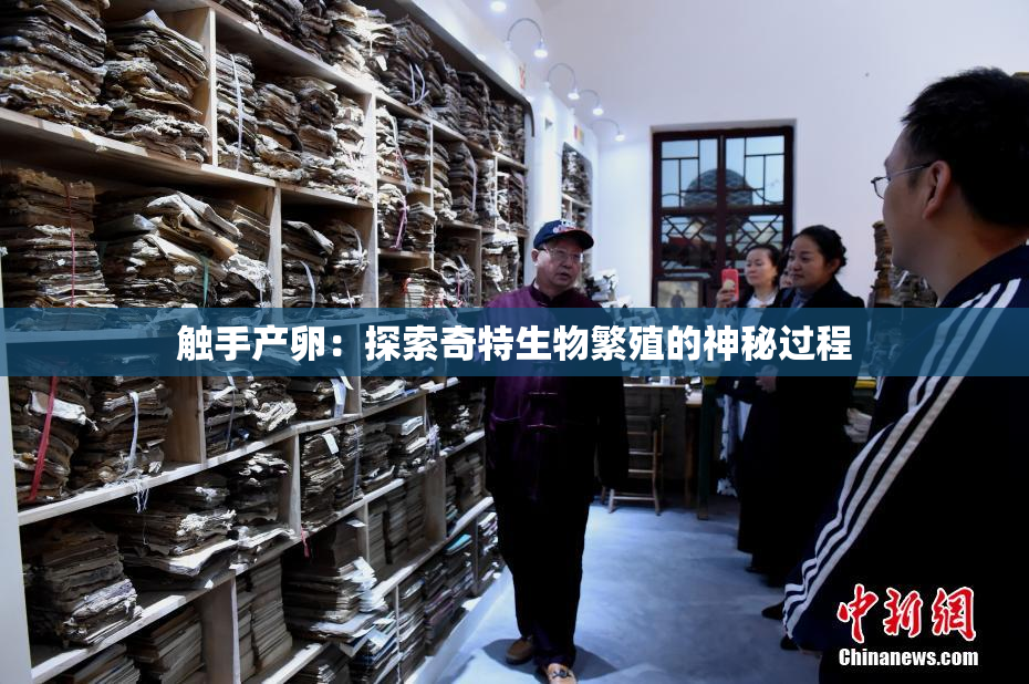 触手产卵：探索奇特生物繁殖的神秘过程