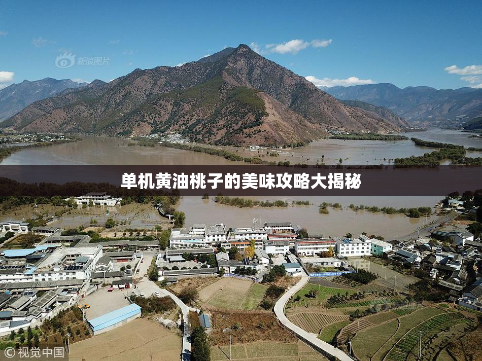 单机黄油桃子的美味攻略大揭秘