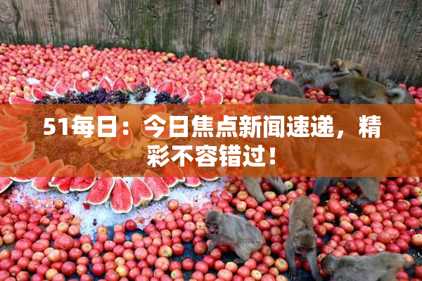51每日：今日焦点新闻速递，精彩不容错过！